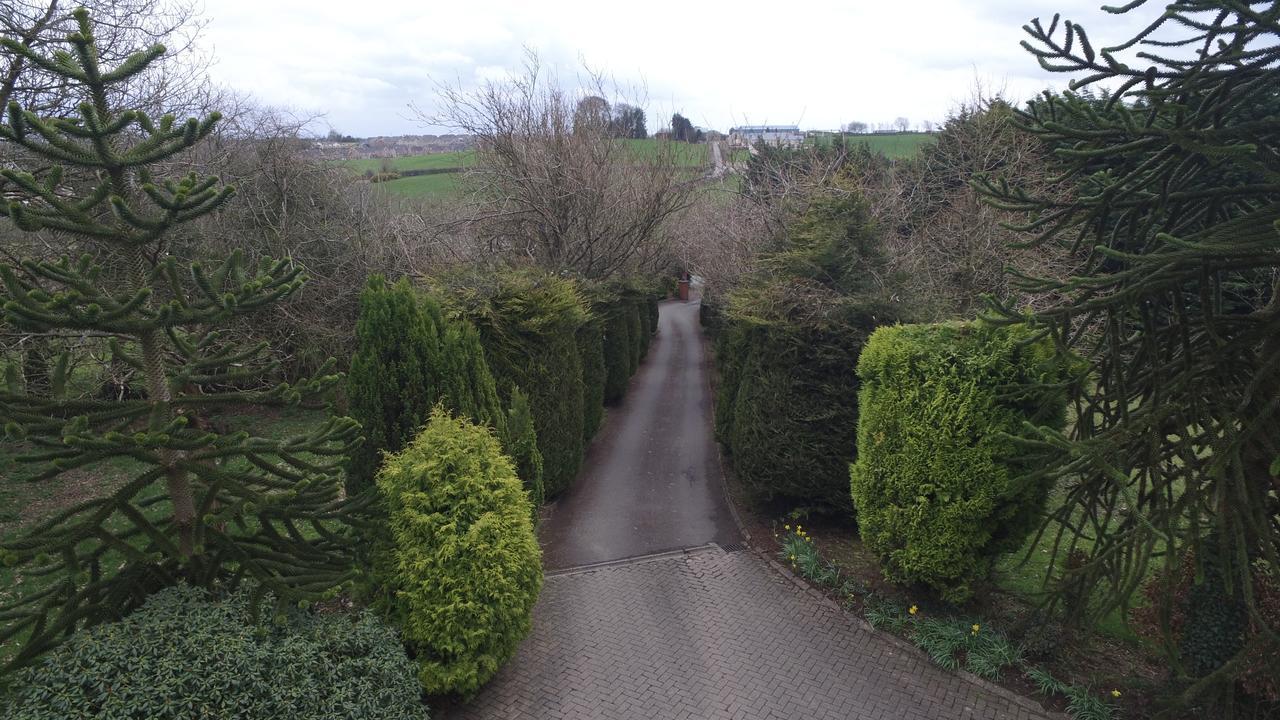 Pinewood Lodge Guest House Omagh Bagian luar foto
